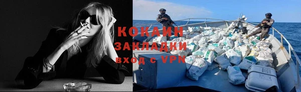 гидра Михайловка