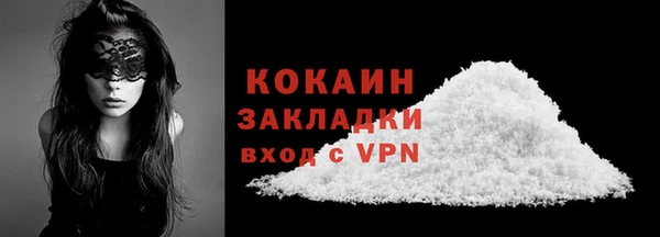 гидра Михайловка